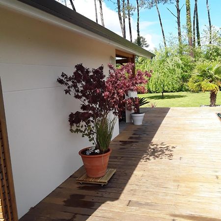 Chambre D'Hotes Les Iris A Mios Sur Le Bassin D'Arcachon Εξωτερικό φωτογραφία