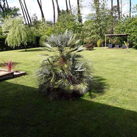 Chambre D'Hotes Les Iris A Mios Sur Le Bassin D'Arcachon Εξωτερικό φωτογραφία