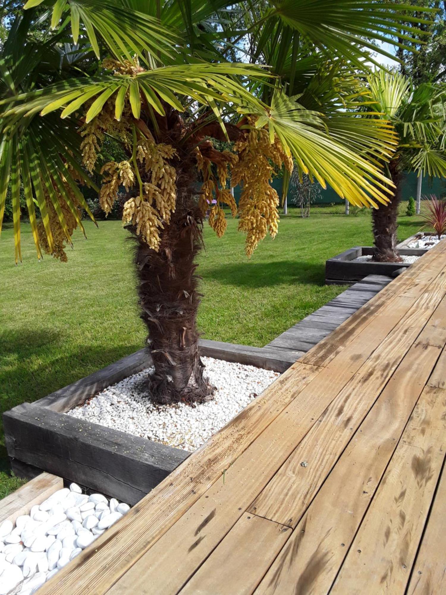Chambre D'Hotes Les Iris A Mios Sur Le Bassin D'Arcachon Εξωτερικό φωτογραφία