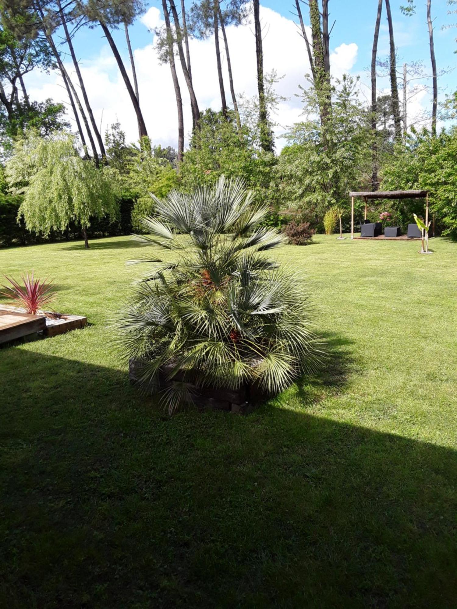 Chambre D'Hotes Les Iris A Mios Sur Le Bassin D'Arcachon Εξωτερικό φωτογραφία